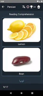 Persian Language Tests android App screenshot 18