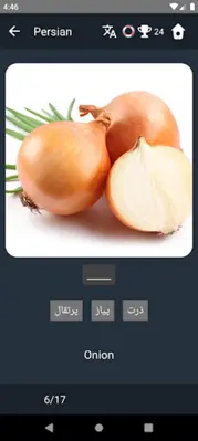 Persian Language Tests android App screenshot 20